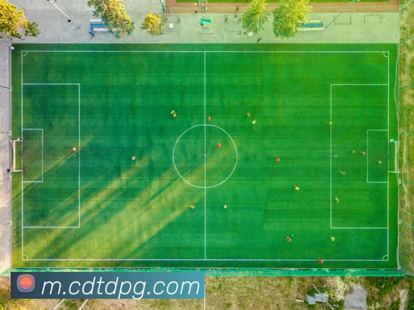 pg官网APP 高清赛事图